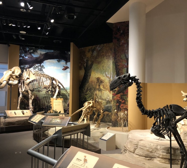 Sam Noble Oklahoma Museum of Natural History (Norman,&nbspOK)